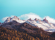 jinnianhui 下载-瓦尔迪赢得双方主帅赞誉 索帅：两失球都该早处理